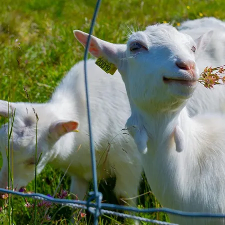 Modern 2-bedroom In Ideal Location Appartement Beitostolen